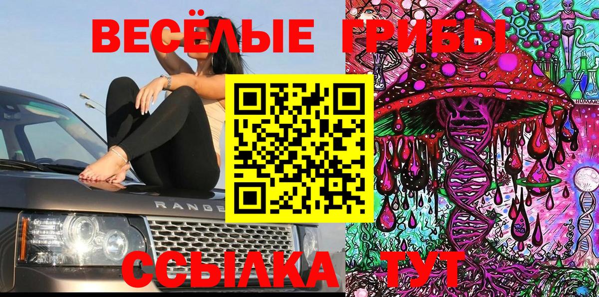 Галлюциногенные грибы мухоморы  Псилоцибиновые грибы Psilocybine cubensis  Казань  Вход с VPN 
