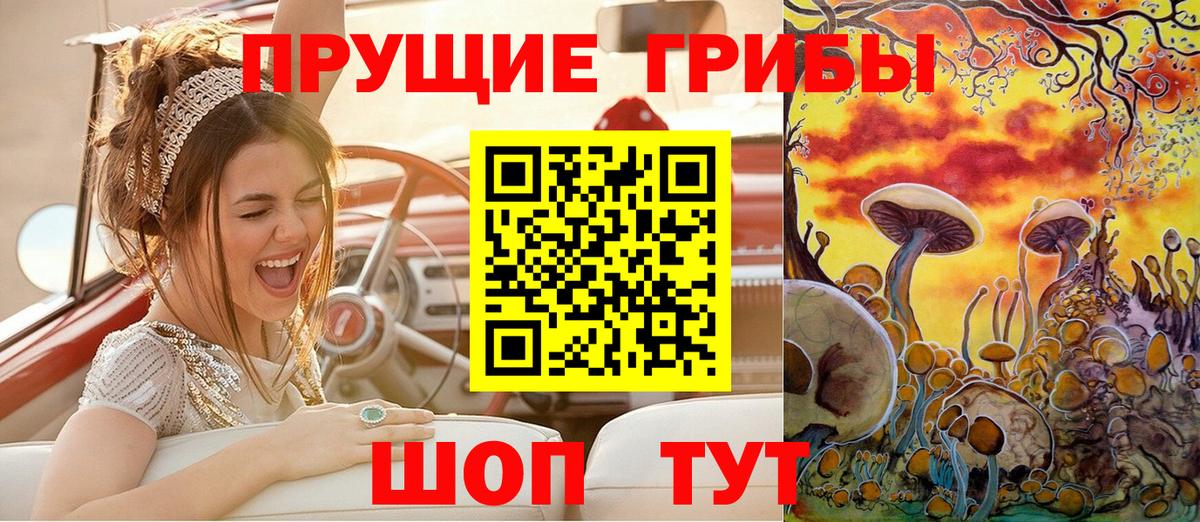 Галлюциногенные грибы Psilocybe Казань